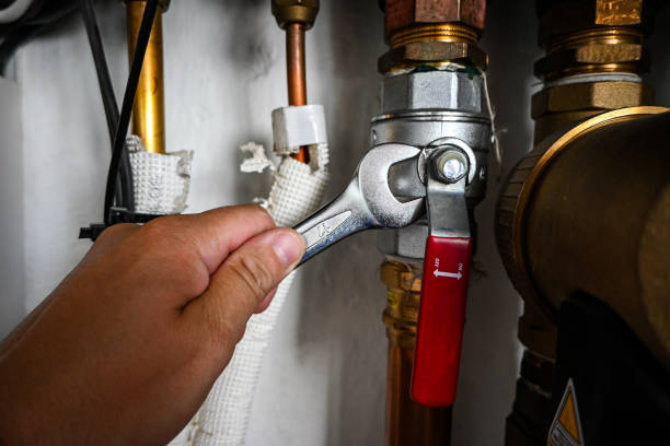 Best Same-Day Plumbing Service  in The Colony, TX